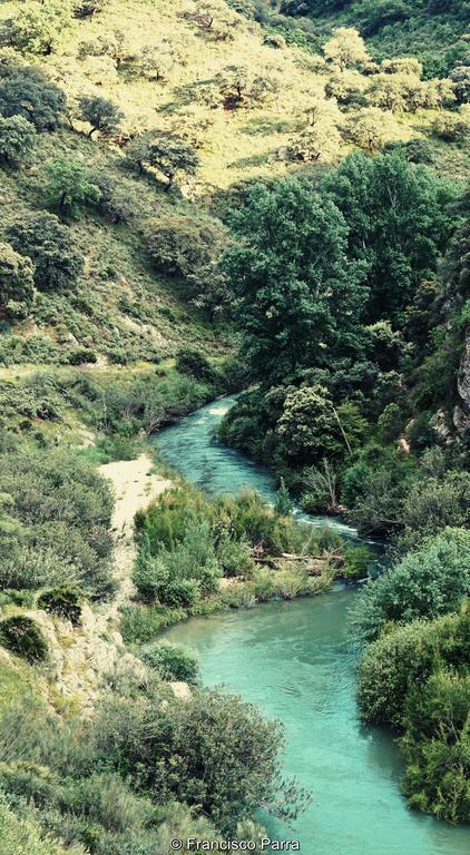 بيناوخان Casa Rural El Nacimiento المظهر الخارجي الصورة